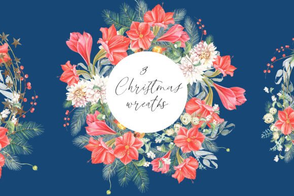 Amaryllis Christmas Wreaths Illustrations Review