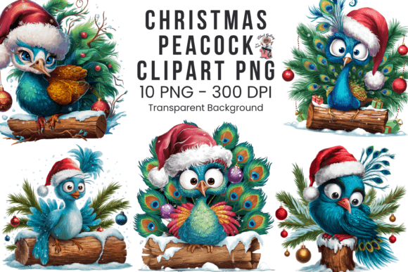 Christmas Peacock Clipart: Festive Illustrations